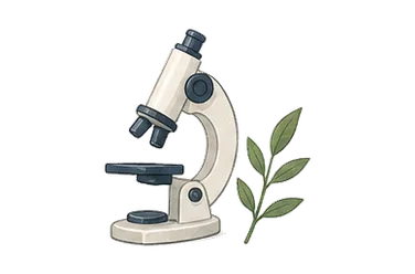 用一个主体和一个核心动作清晰表现“生物学”