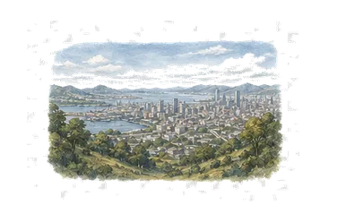 用一个主体和一个核心动作清晰表现“全景；全面概述”